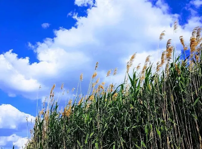 Anna-lak Дунапатай