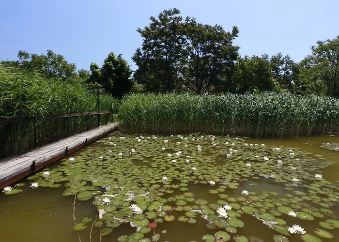 Anna-lak Отель типа 