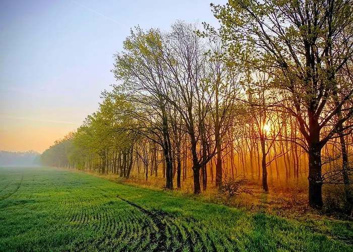 Anna-lak Отель типа 